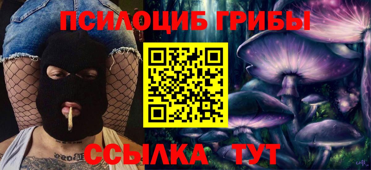 Галлюциногенные грибы мицелий  Вход с VPN  закладка  Псилоцибиновые грибы мицелий  Донецк 